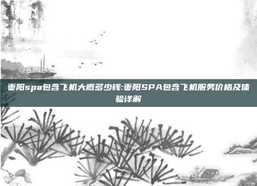 枣阳spa包含飞机大概多少钱:枣阳SPA包含飞机服务价格及体验详解