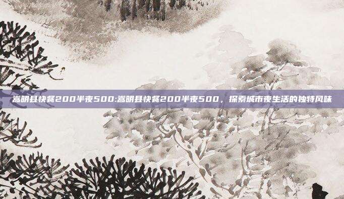 嵩明县快餐200半夜500:嵩明县快餐200半夜500，探索城市夜生活的独特风味