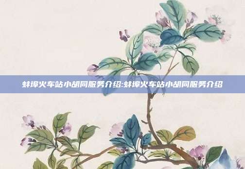 蚌埠火车站小胡同服务介绍:蚌埠火车站小胡同服务介绍