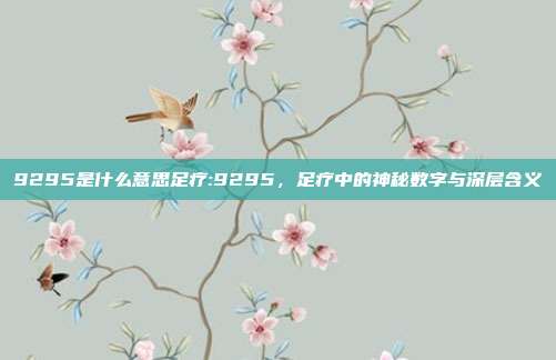 9295是什么意思足疗:9295，足疗中的神秘数字与深层含义