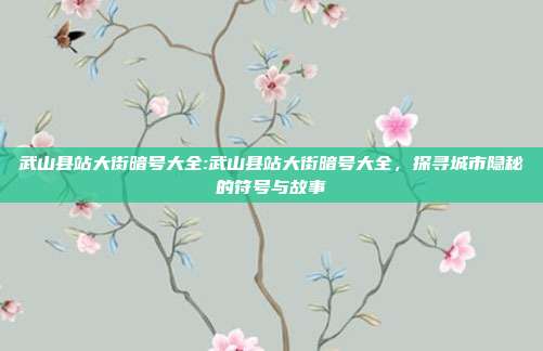 武山县站大街暗号大全:武山县站大街暗号大全，探寻城市隐秘的符号与故事