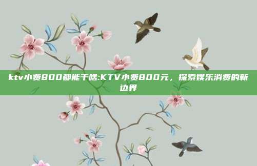 ktv小费800都能干啥:KTV小费800元，探索娱乐消费的新边界