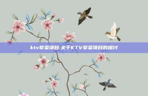 ktv荤菜项目:关于KTV荤菜项目的探讨