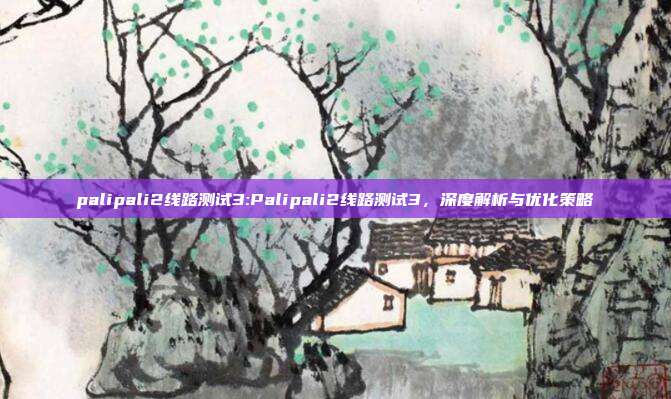 palipali2线路测试3:Palipali2线路测试3，深度解析与优化策略