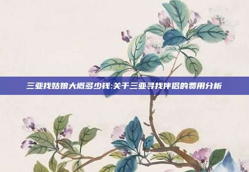 三亚找姑娘大概多少钱:关于三亚寻找伴侣的费用分析