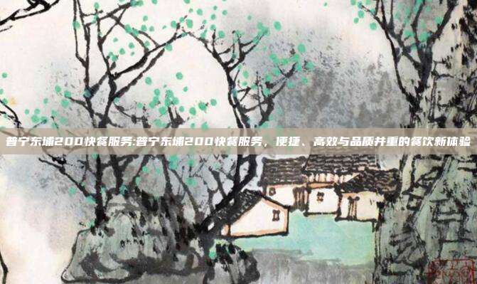 普宁东埔200快餐服务:普宁东埔200快餐服务，便捷、高效与品质并重的餐饮新体验