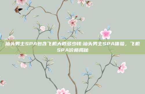 汕头男士SPA包含飞机大概多少钱:汕头男士SPA体验，飞机SPA价格揭秘