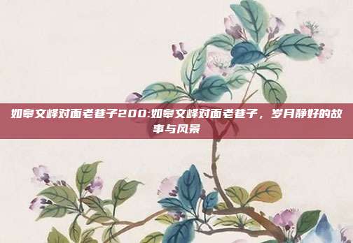 如皋文峰对面老巷子200:如皋文峰对面老巷子，岁月静好的故事与风景