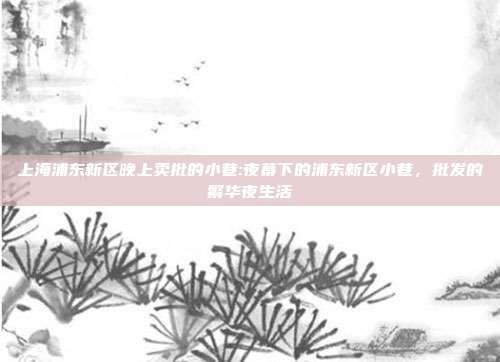 上海浦东新区晚上卖批的小巷:夜幕下的浦东新区小巷，批发的繁华夜生活