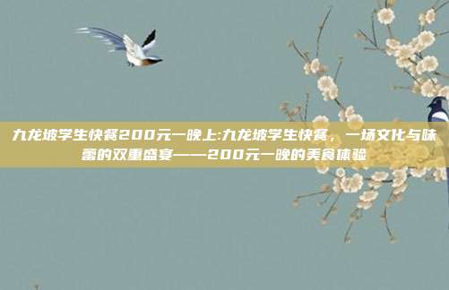 九龙坡学生快餐200元一晚上:九龙坡学生快餐，一场文化与味蕾的双重盛宴——200元一晚的美食体验