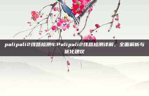 palipali2线路检测4:Palipali2线路检测详解，全面解析与优化建议