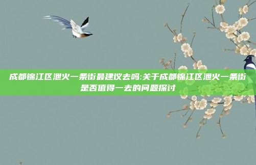 成都锦江区泄火一条街最建议去吗:关于成都锦江区泄火一条街是否值得一去的问题探讨