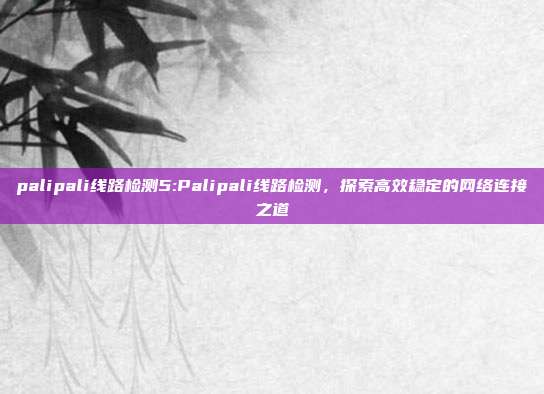 palipali线路检测5:Palipali线路检测，探索高效稳定的网络连接之道