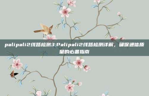 palipali2线路检测3:Palipali2线路检测详解，确保通信质量的必备指南